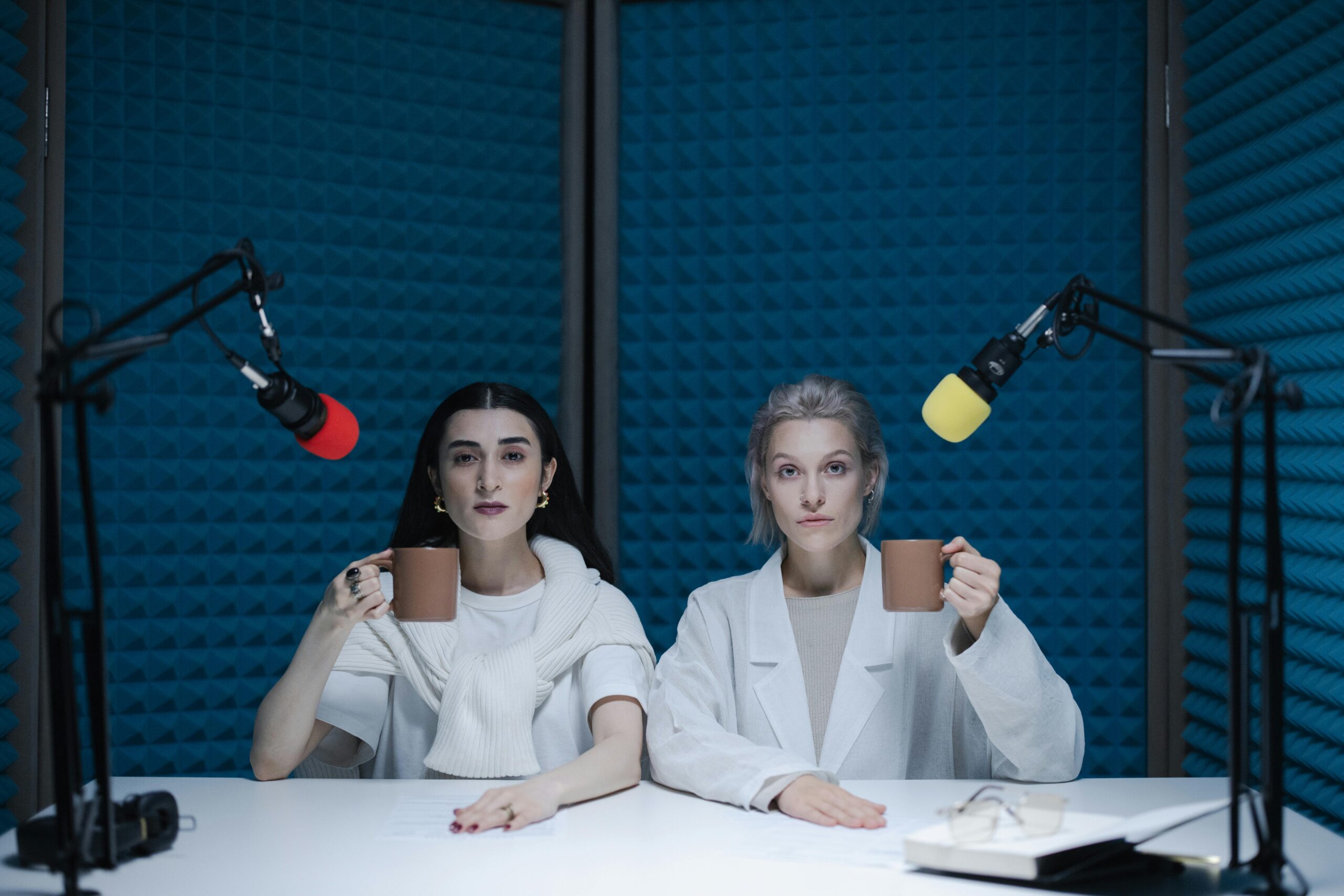 ai-voice-cloning-fish-audio quiccle